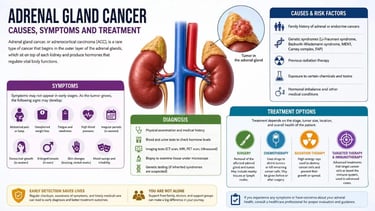 Medical infographic showing adrenal gland cancer
