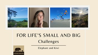 A collage showing the different sides of elephant and kiwi coaching