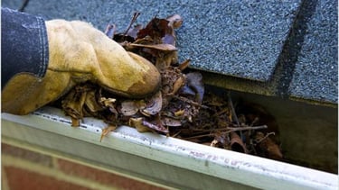 home gutters being cleaned of debris