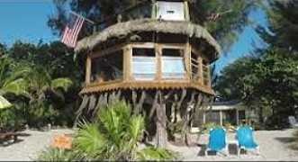 tree-house-on-ami