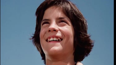 Matthew Labyorteaux as Albert Ingalls from Little House on the Prairie
