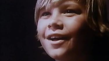 Brian Part in The Secret Life of T.K. Dearing