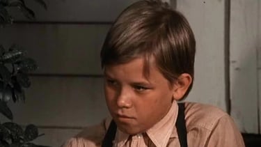 Brian Part in The Waltons