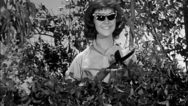 Charlotte Stewart Video Filmography