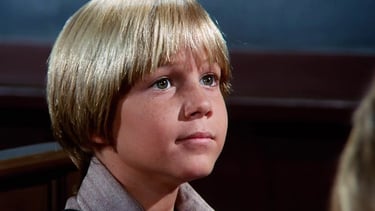 David Friedman in Bless All the Dear Children
