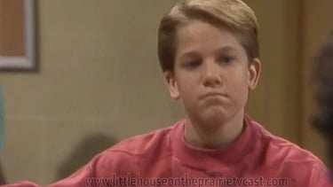 David Friedman in Mr. Belvedere