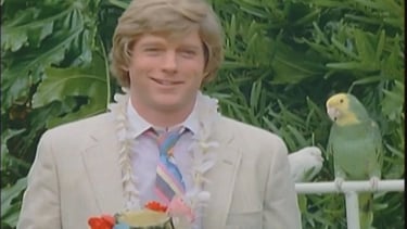 Dean Butler Video Filmography