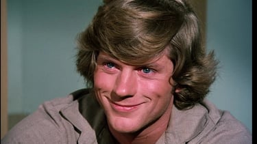 Dean Butler as Almanzo Wilder from Little House on the Prairie