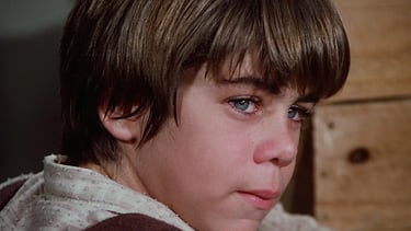 Patrick Labyorteaux in Little House on the Prairie