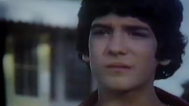 Matthew Labyorteaux in Here's Boomer