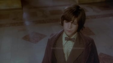 Mathew Labyorteaux in King of the Gypsies
