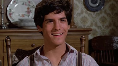 Matthew Labyorteaux in Little House: Look Back to Yesterday