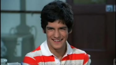 Matthew Labyorteaux in The Love Boat