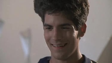 Matthew Labyorteaux in Amazing Stories