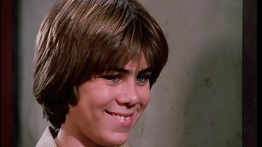 Patrick Labyorteaux as Andy Garvey from Little House on the Prairie