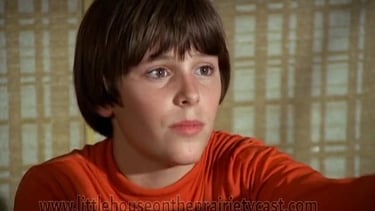Radames Pera in Hawaii Five-O
