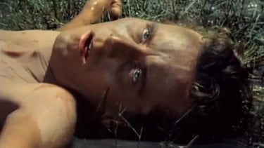 Steve Tracy in Beneath the Valley of the Ultra-Vixens