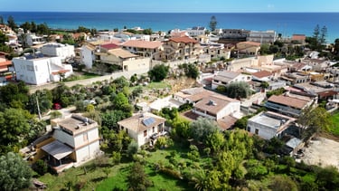a city with a lot of houses and trees
