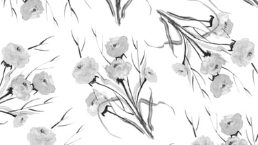 white flowers drawing