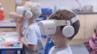 Virtual Reality Headsets