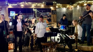 Birds of a feather band performing on stage