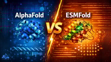 AlphaFold vs ESMFold Explained: Accuracy, Speed, Architecture, and Use Cases