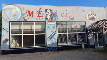 M.E Câline, ouverture prochainement