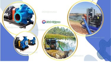 Water Pumps