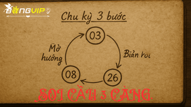 soi-cau-3-cang-bongvip