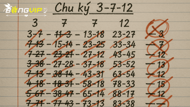 chu-ky-lo-gan-bongvip