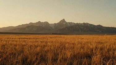 Wide environmental shot of empty golden-grass fields at dusk, distant Idaho mountain peaks silhouetted against a soft warm sky, 35mm film texture.