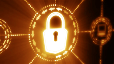 Security Review Services