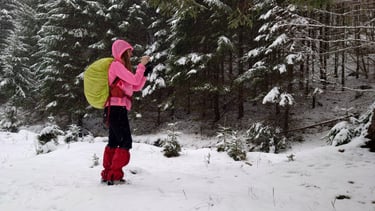 traseu spre refugiul gainatul