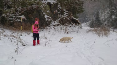 fereastra cu povesti