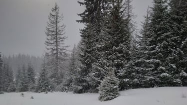 traseu iarna la refugiu