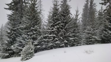 refugiul gainatul muntii iezer-papusa