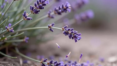 low angle view photography of a gray building