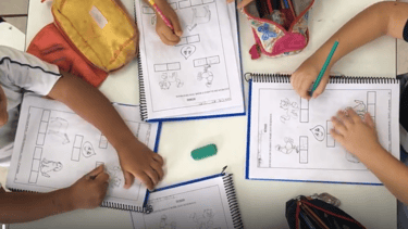 Pädagogischer Leitfaden