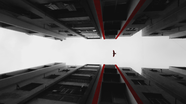 a bird flying over a building