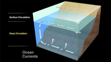 a diagram of a deep ocean ocean currents, deep ocean currents, deep ocean currents