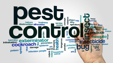 A word cloud for pest control services featuring keywords like exterminator, insect, and bug.