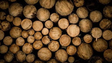 a pile of wood logs with a pile of wood logs