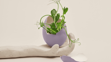 Nieuw begin na doorbreken systemische patronen onderwijs.