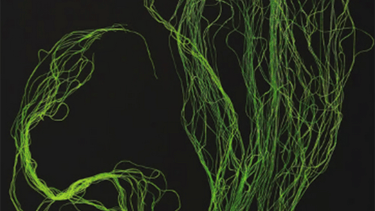  Olka Schok #FilsFreeTechnique  Into the abysses