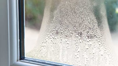 Picture of a misted glass sealed unit in a upvc window
