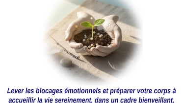 Soutien naturel à la fécondité et au projet de naissance à Caen - Kinésiologue Fleury-sur-Orne