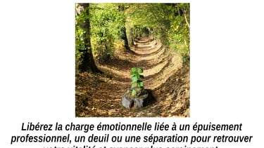 Accompagnement burn-out, deuil et séparation Caen - Kinésiologue spécialisé en gestion du stress