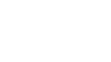 festfusion logo