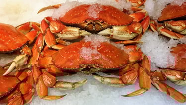 crabs