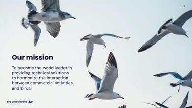 Diapositiva de Bird Control Group, destacando la nueva identidad visual con un diseño limpio y profesional.